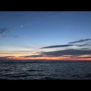 Meet your Posher, Benjamin